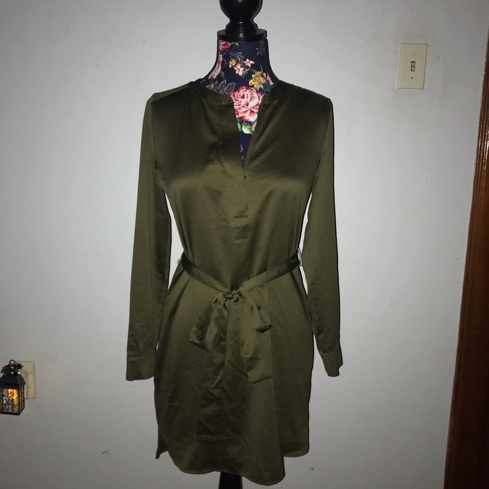 Olive Dress // Banana Republic // Size 2 - Picture 7 of 8